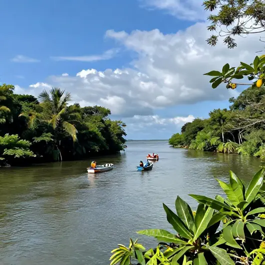 23 melhores opções para explorar a Foz do Rio São Francisco em Aracaju
