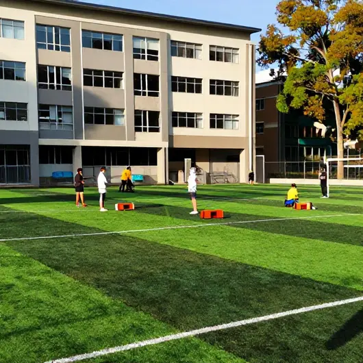 Academia de Futebol MJ Academia de Futebol MJ