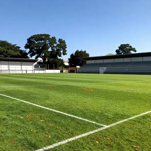 Aracaju Futebol Clube Aracaju Futebol Clube