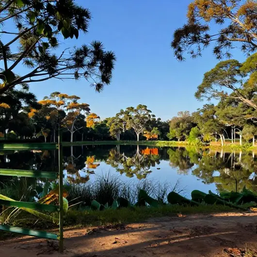 Conheça a Reserva de Santa Isabel em Pirambu - Arte e Natureza na Costa Sergipana
