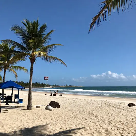 Descubra a Praia dos Artistas Descubra a Praia dos Artistas