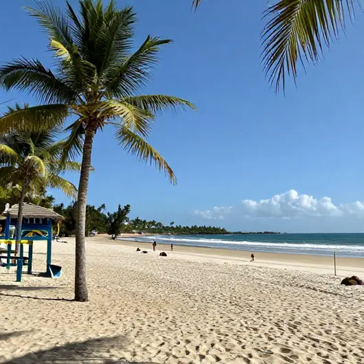 Descubra Âncora Beach