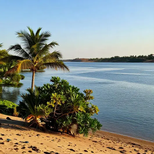 Foz do rio são Francisco Ricardo tuor: Um Paraíso Natural Foz do rio são Francisco Ricardo tuor: Um Paraíso Natural